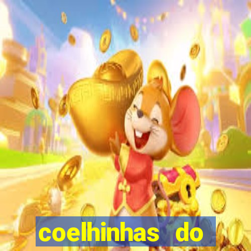 coelhinhas do brasil recife